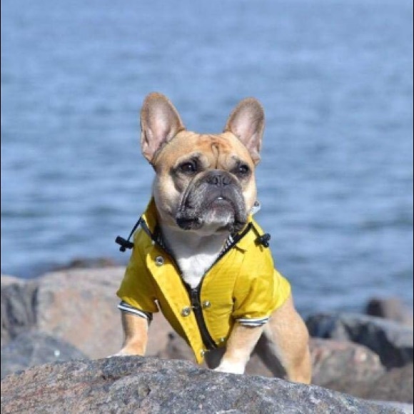 🌼 - Picture 3 of 5